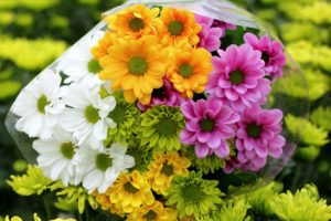 chrysanthemums, Bouquets, Flowers