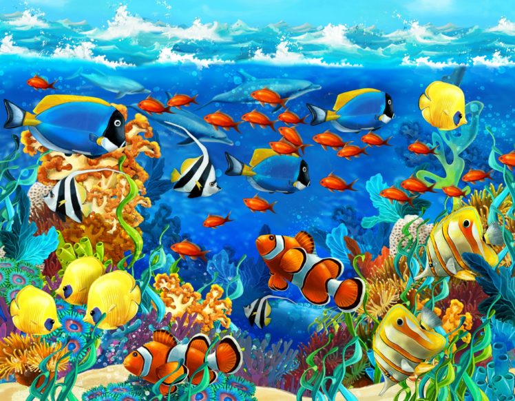 dolphin, Sea, Seabed, Fish, Corals, Underwater, Ocean, Tropical HD Wallpaper Desktop Background
