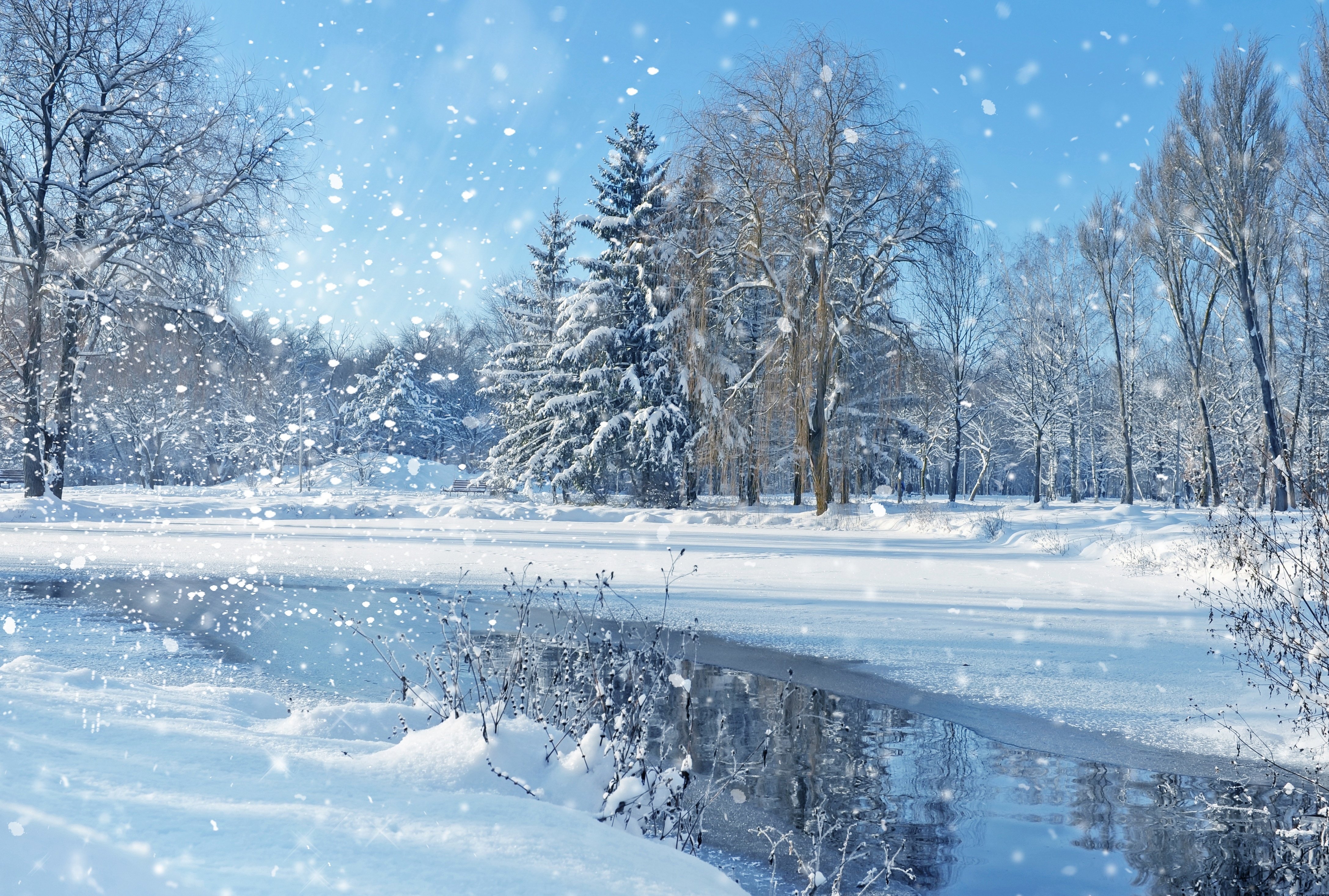 landscape, Nature, Sky, Trees, Winter, Christmas Wallpaper