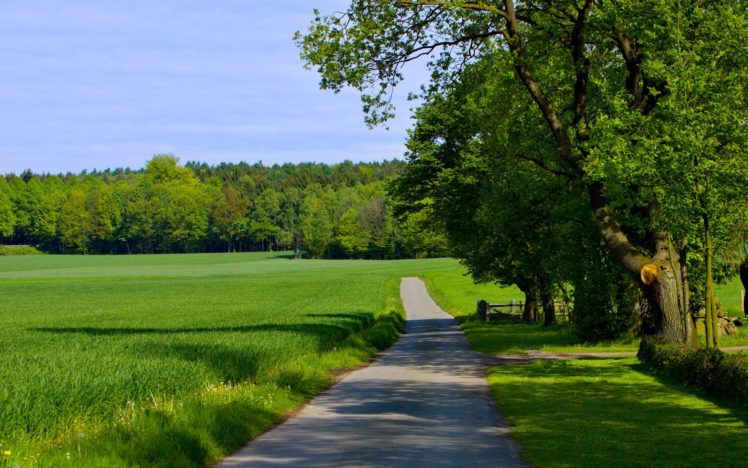 green, Nature, Trees, Grass, Paths, Roads HD Wallpaper Desktop Background