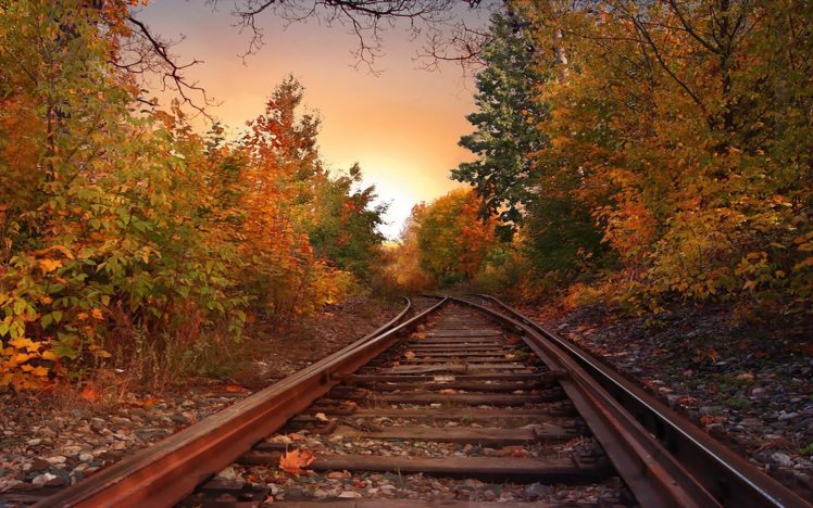 landscapes, Nature, Trees, Autumn, Skylines, Railroad, Tracks HD Wallpaper Desktop Background
