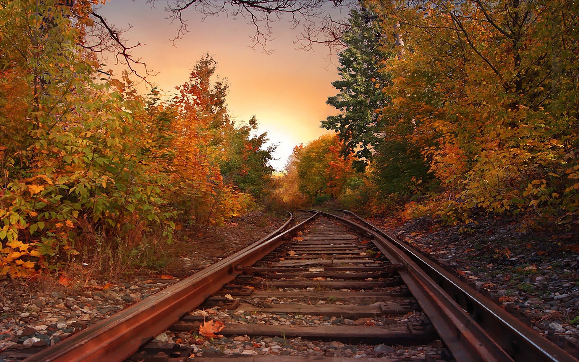 landscapes, Nature, Trees, Autumn, Skylines, Railroad, Tracks Wallpaper