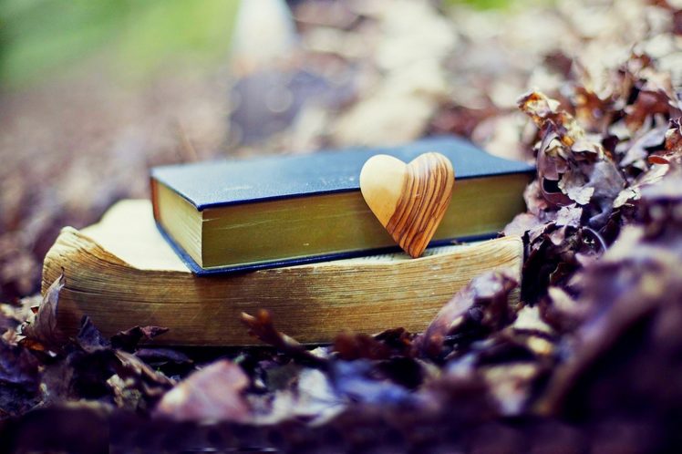 nature, Forest, Old, Book, Leaves, Park, Heart, Love, Fall, Autumn, Bokeh,  Mood Wallpapers HD / Desktop and Mobile Backgrounds