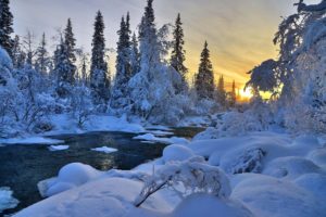 winter, River, Nature, Trees, Landscape