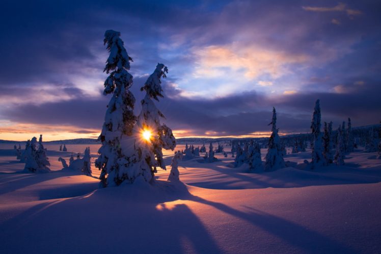 winter, Snow, Frost, Trees, Sun HD Wallpaper Desktop Background