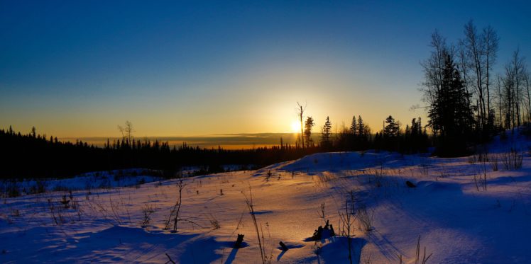 winter, Sunset, Field, Trees, Landscape HD Wallpaper Desktop Background