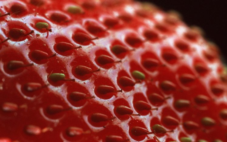 close up, Fruits, Strawberries HD Wallpaper Desktop Background