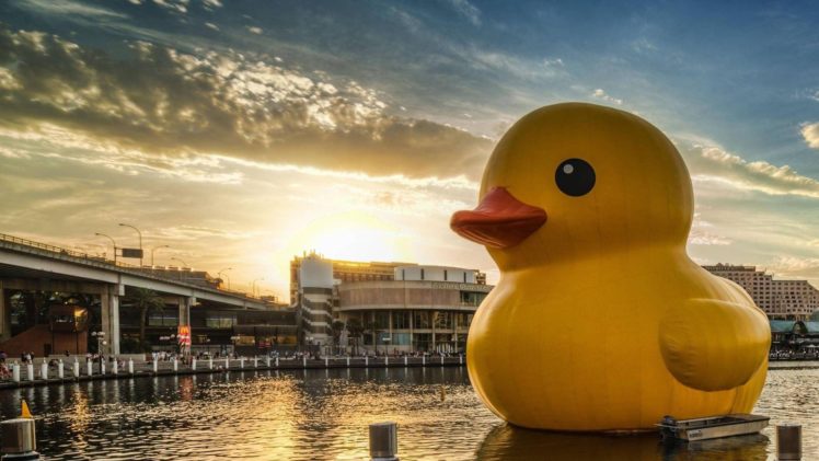 water, Boats, Sydney, Australia, Rubber, Ducks, Duck HD Wallpaper Desktop Background