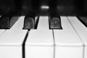 keyboards, Monochrome, Organ