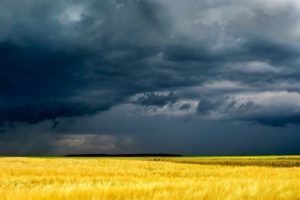 fields, Grass, Sky, Clouds, Storm