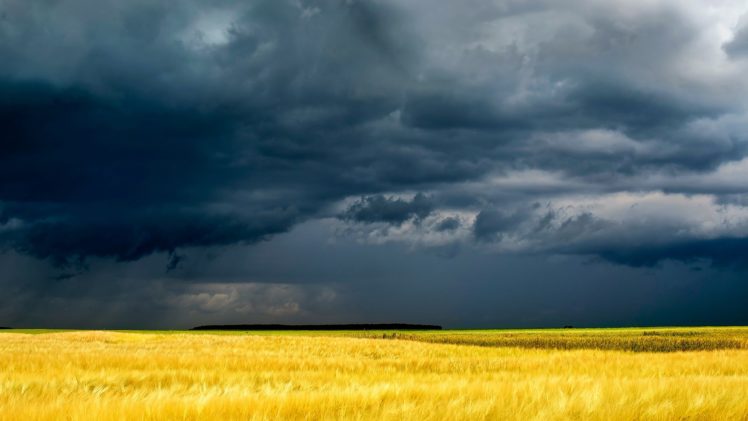 fields, Grass, Sky, Clouds, Storm HD Wallpaper Desktop Background