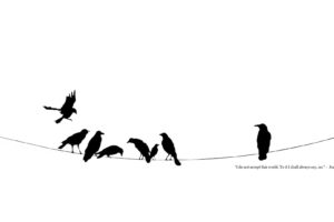 black, And, White, Minimalistic, Quotes, Power, Lines, Crows, Ravens