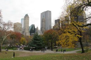 landscapes, Cityscapes, Usa, New, York, City, Manhattan, Central, Park