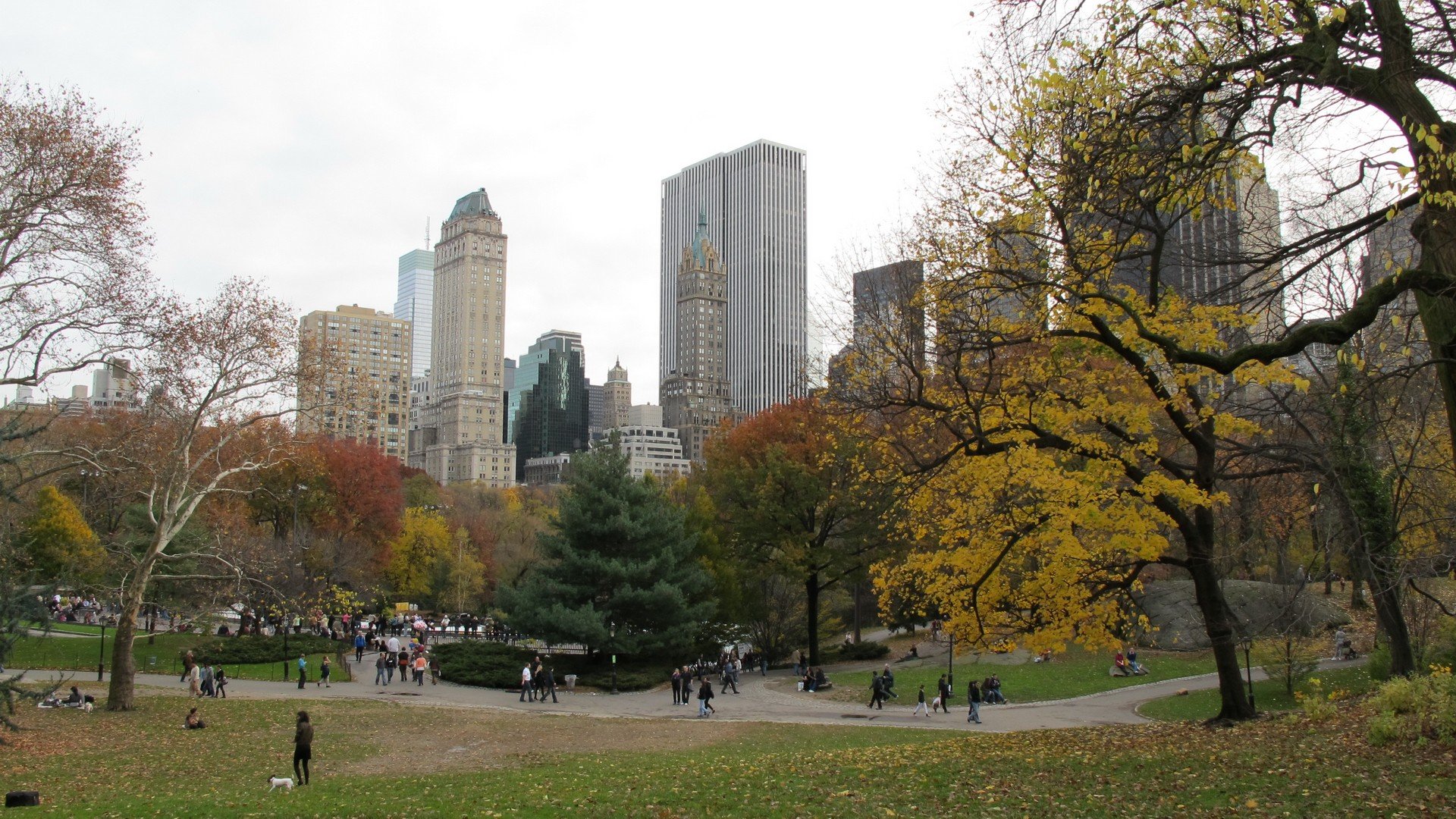 Парк в Нью-Йорке
