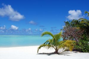 ocean, Maldives, Palm, Trees, Blue, Skies, Beaches