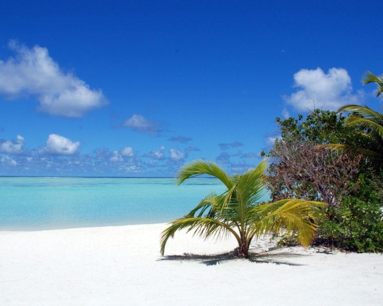 ocean, Maldives, Palm, Trees, Blue, Skies, Beaches HD Wallpaper Desktop Background