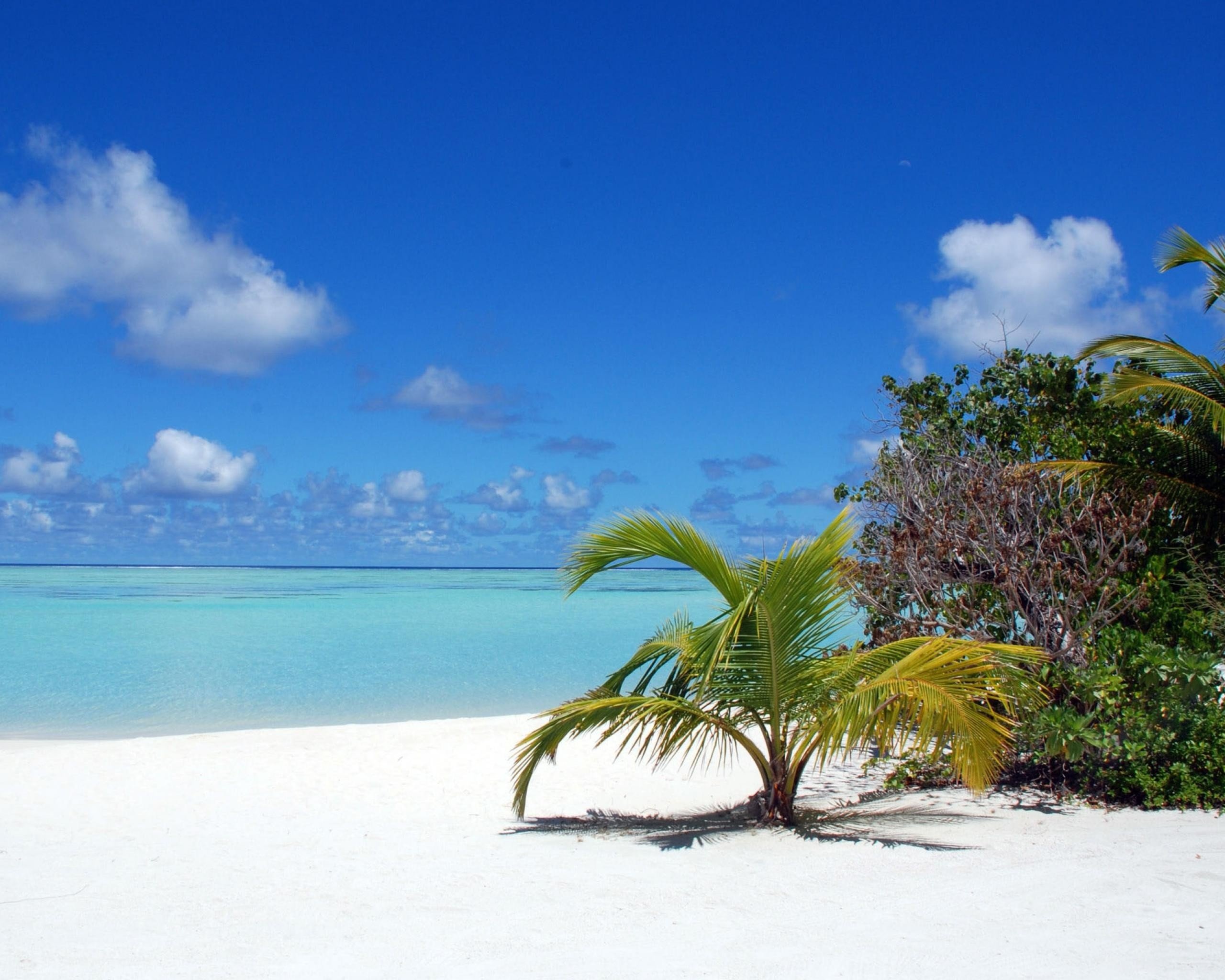 ocean, Maldives, Palm, Trees, Blue, Skies, Beaches Wallpaper