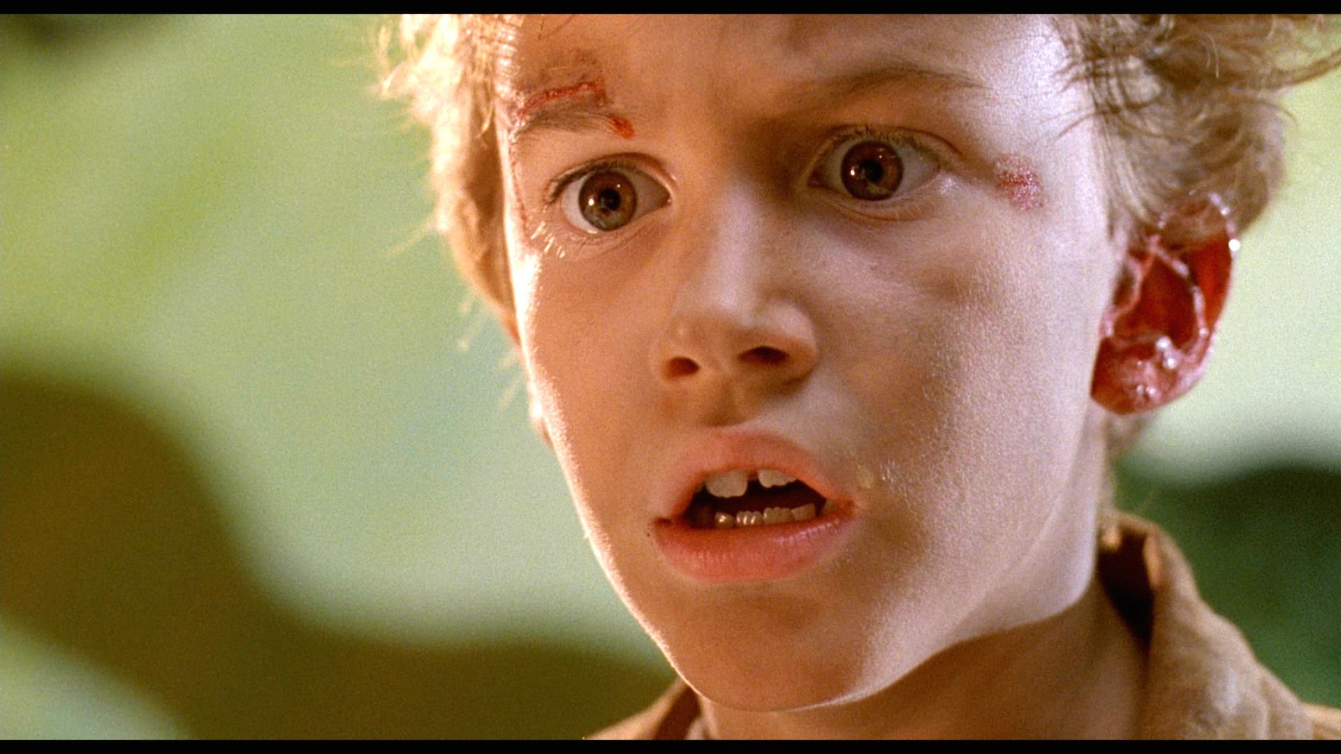 jurassic, Park, Adventure, Sci fi, Fantasy, Dinosaur, Movie, Film Wallpaper