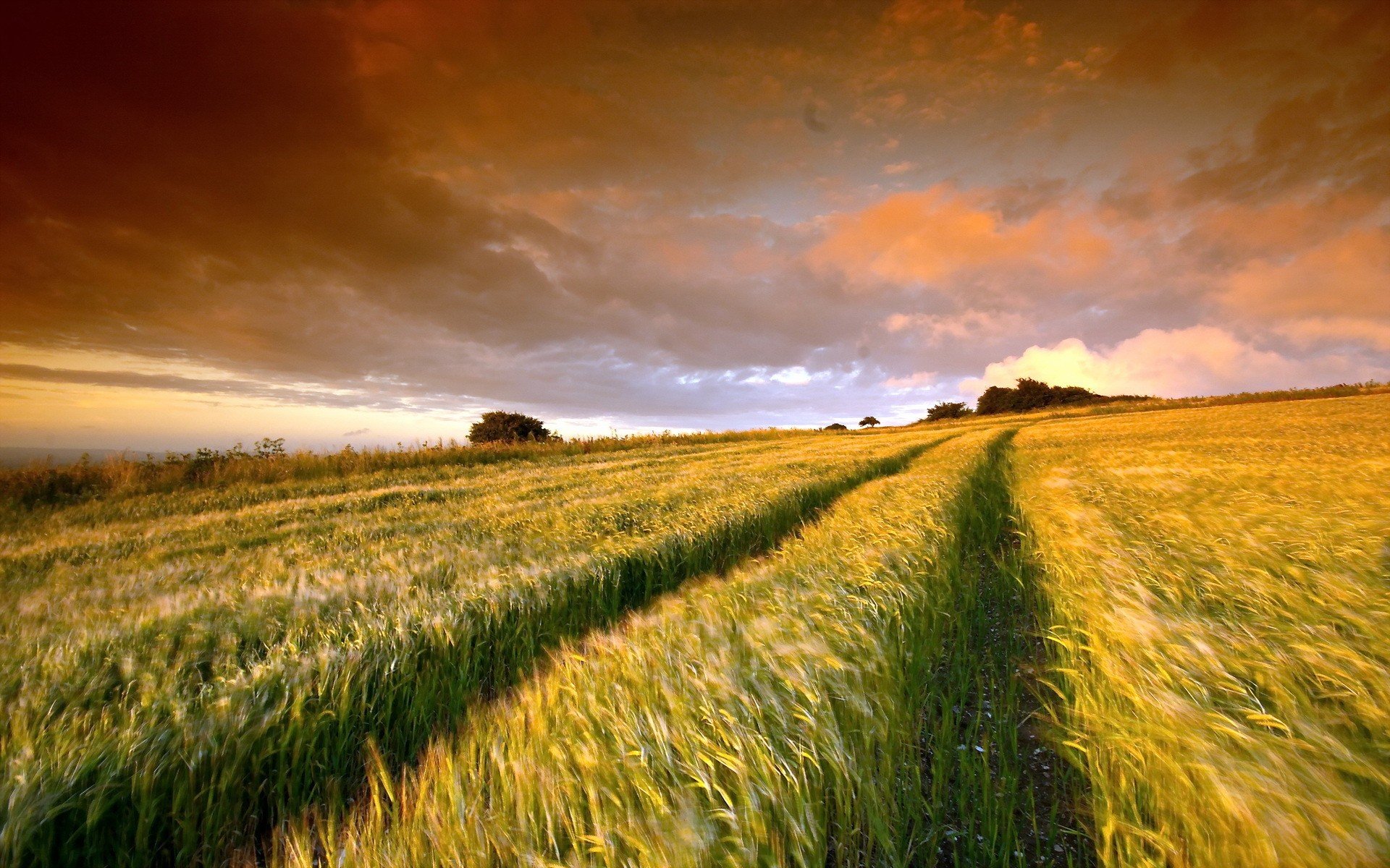 Nature Landscape Field Cloud Sunset Hd Ultrahd 4k Wallpaper