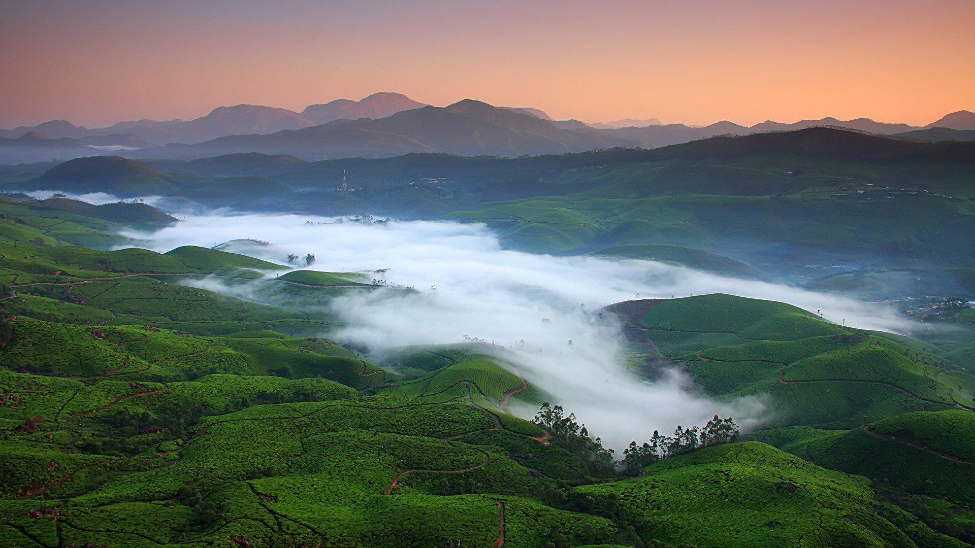 mountains, Nature, Fields, Valleys, Mist, India, Morning Wallpaper