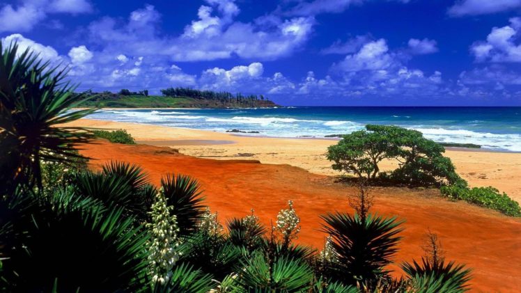 hawaii, Kauai, Beaches HD Wallpaper Desktop Background