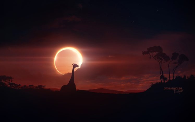 clouds, Sun, Moon, Eclipse, Sunlight, Skies, Giraffe HD Wallpaper Desktop Background
