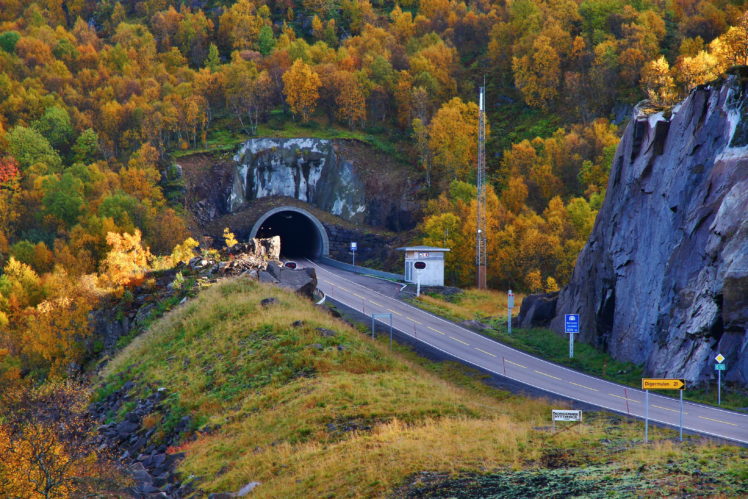 nature, Trees, Tunnel, Autumn, Fall, Mountains HD Wallpaper Desktop Background