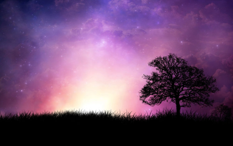 violet, Sunset HD Wallpaper Desktop Background