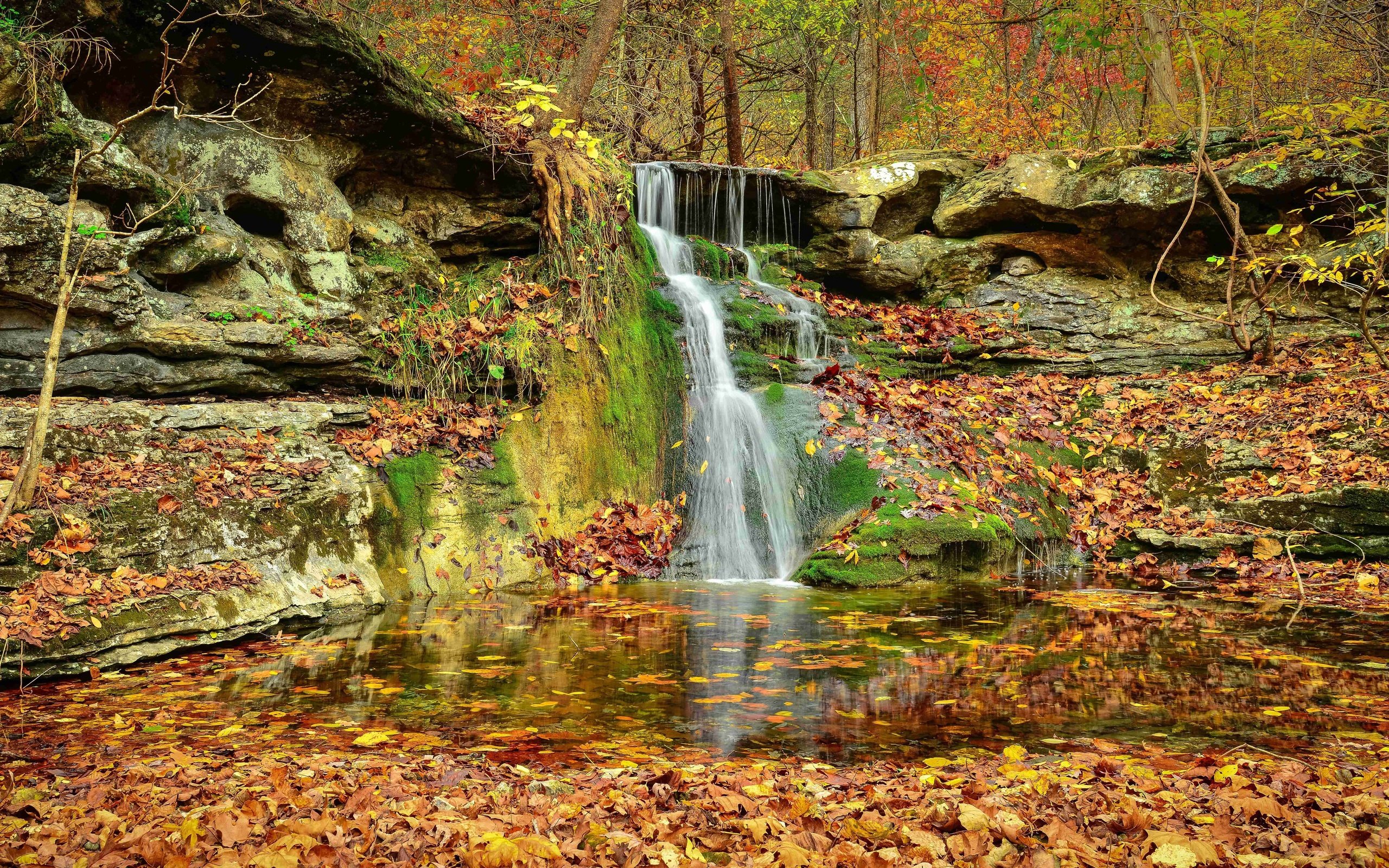 autumn, Wallpapers, Rocks, Wood, Trees, Waterfall, Nature Wallpaper