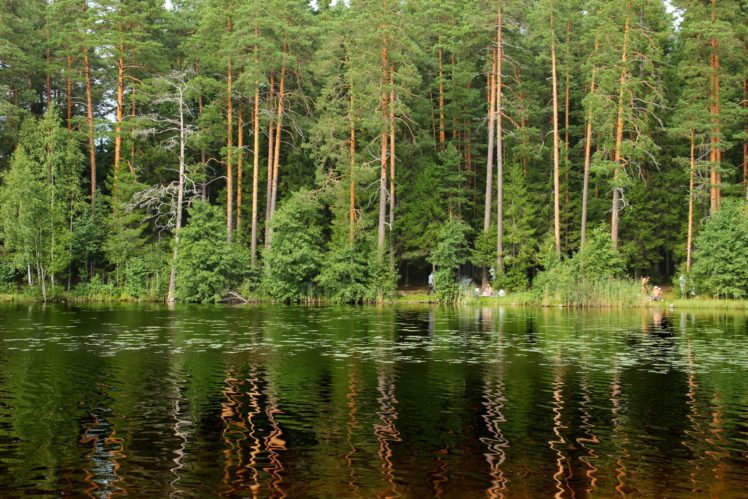 forest, Lake, St, , Petersburg, Russia, Reflection HD Wallpaper Desktop Background