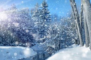 nature, Sky, Trees, Landscape, Winter, Bokeh, Christmas