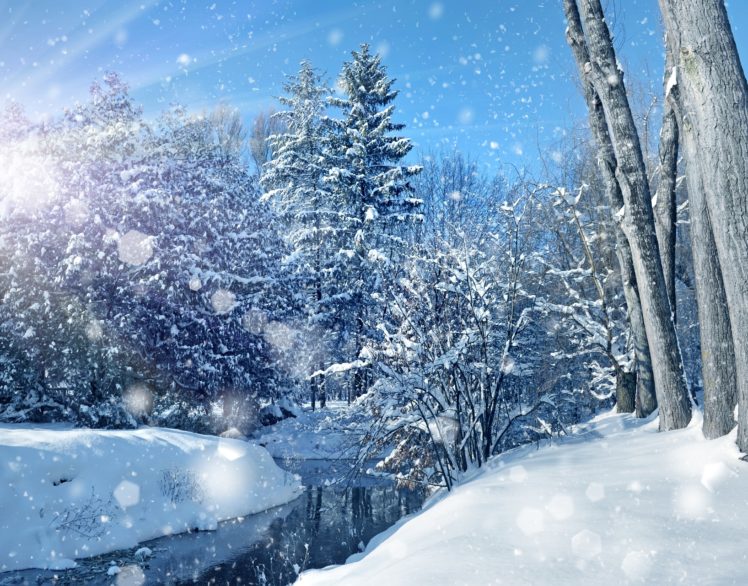 nature, Sky, Trees, Landscape, Winter, Bokeh, Christmas HD Wallpaper Desktop Background