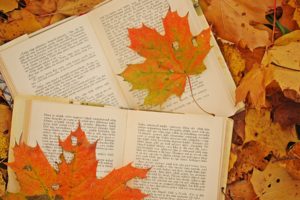 bokeh, Mood, Book, Autumn, Fall