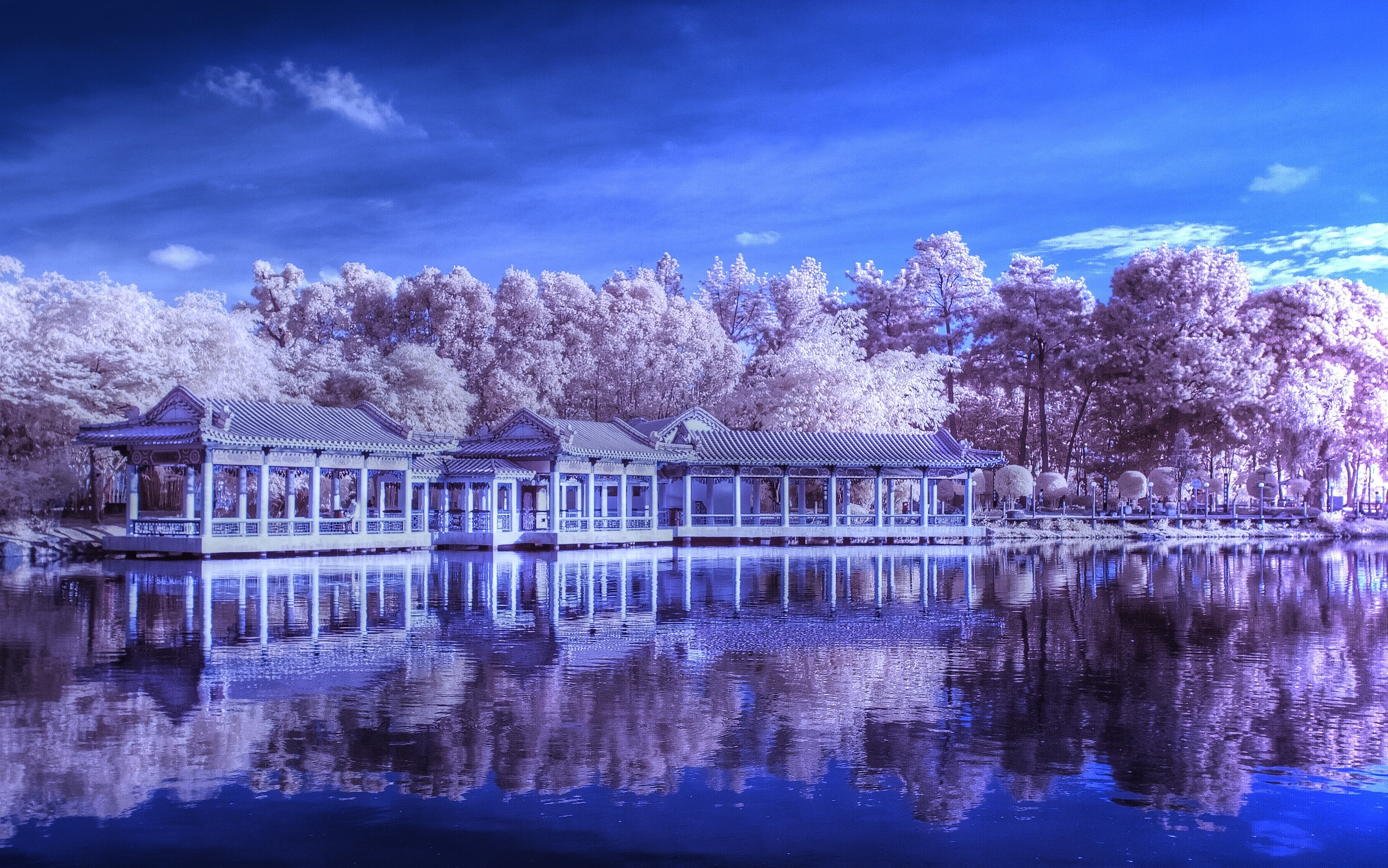 chinese, Garden,  , Singapore Wallpaper