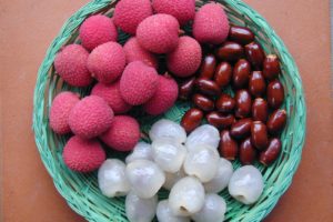 fruits, Lychee