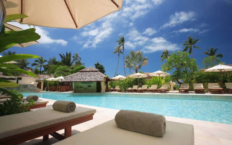 palm, Trees, Swimming, Pools, Resort HD Wallpaper Desktop Background