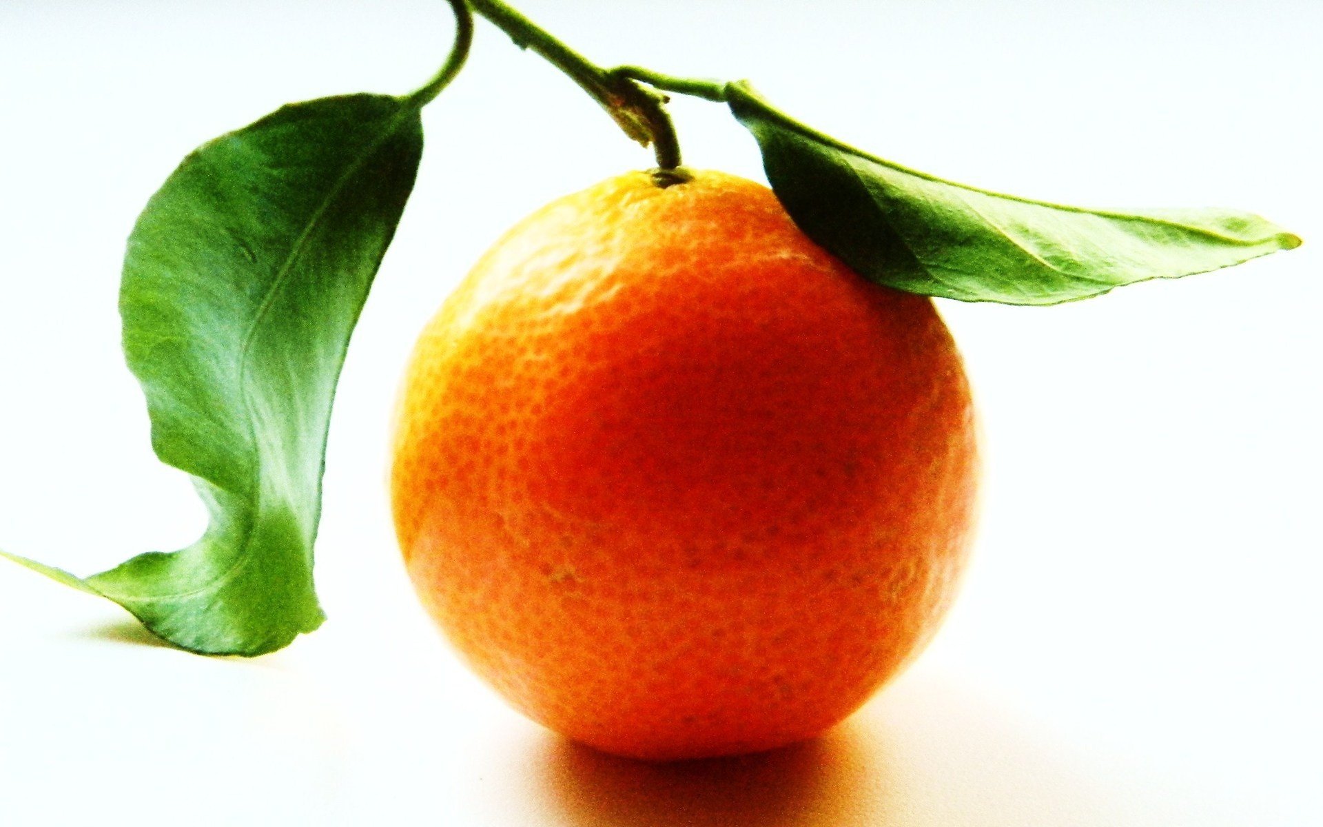 fruits, Oranges Wallpaper