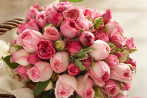 bouquet, Pink, Pink, Buds, Beauty, Roses, Rose