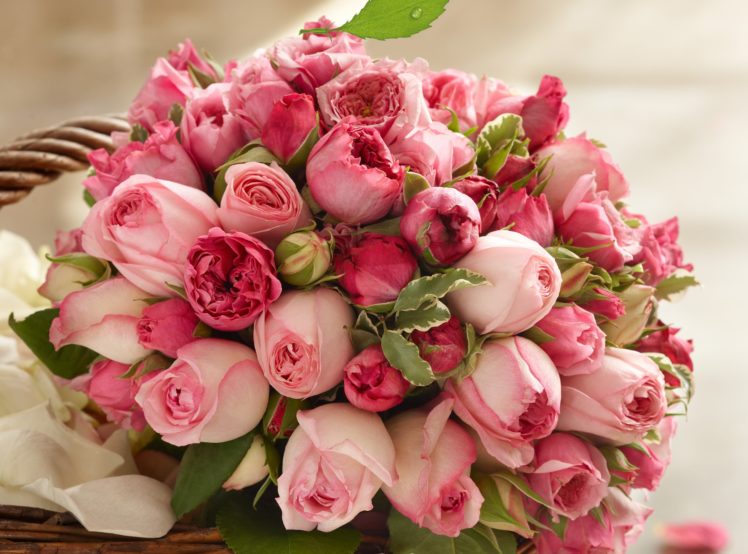 bouquet, Pink, Pink, Buds, Beauty, Roses, Rose HD Wallpaper Desktop Background