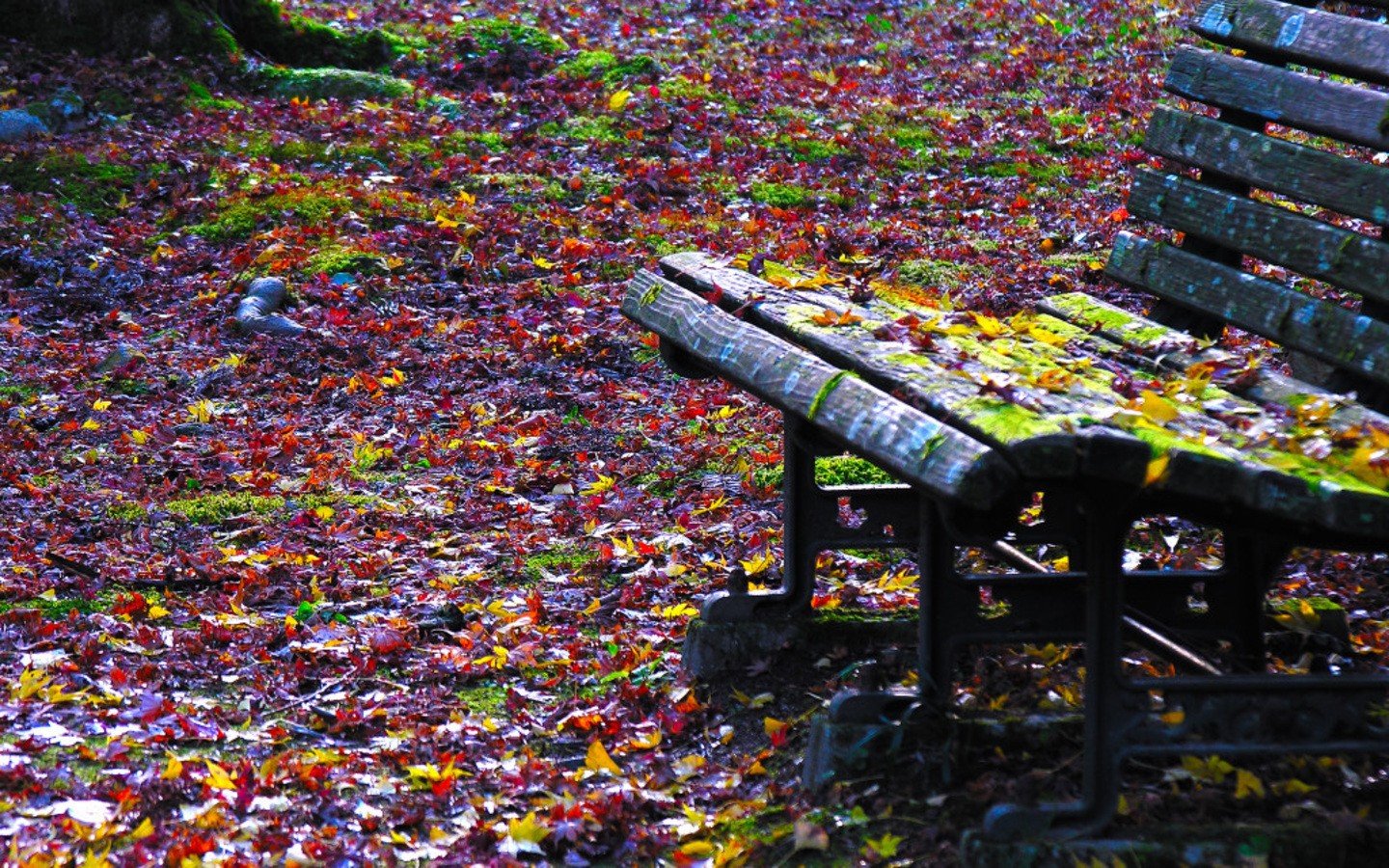 autumn, Leaves, Bench, Fallen, Leaves Wallpaper