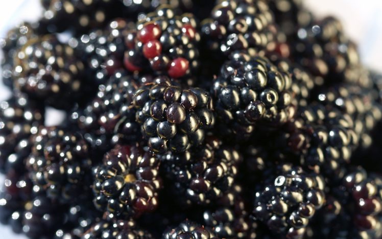fruits, Berries, White, Background, Blackberries HD Wallpaper Desktop Background