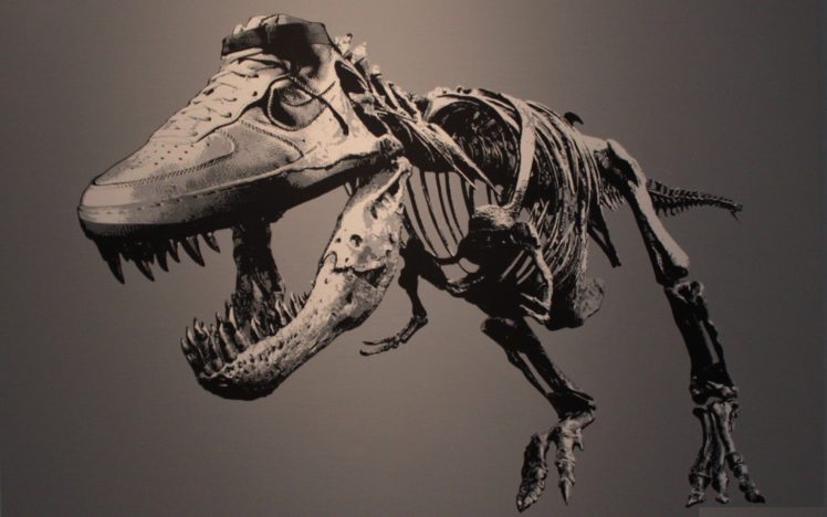 dinosaurs, Funny HD Wallpaper Desktop Background
