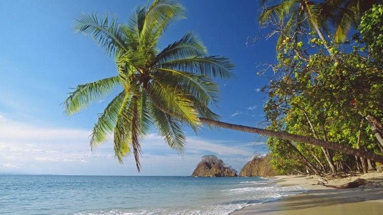 landscapes, Nature, Palm, Island, Beaches HD Wallpaper Desktop Background