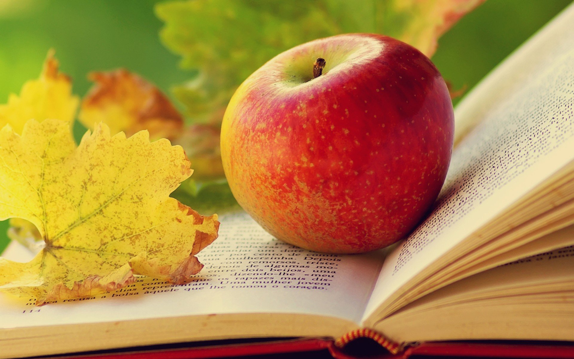 leaves, Books, Apples Wallpaper