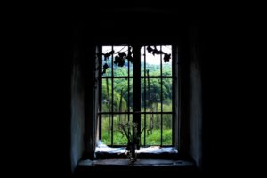 mood, Bokeh, Window, House, Nature