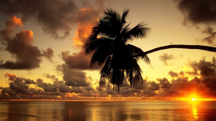 sunset, Clouds, Silhouettes, Palm, Trees, Sea HD Wallpaper Desktop Background
