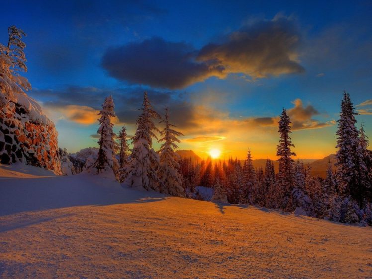 sunset, Landscapes, Nature, Winter, Snow, Trees, Skylines, Forests HD Wallpaper Desktop Background