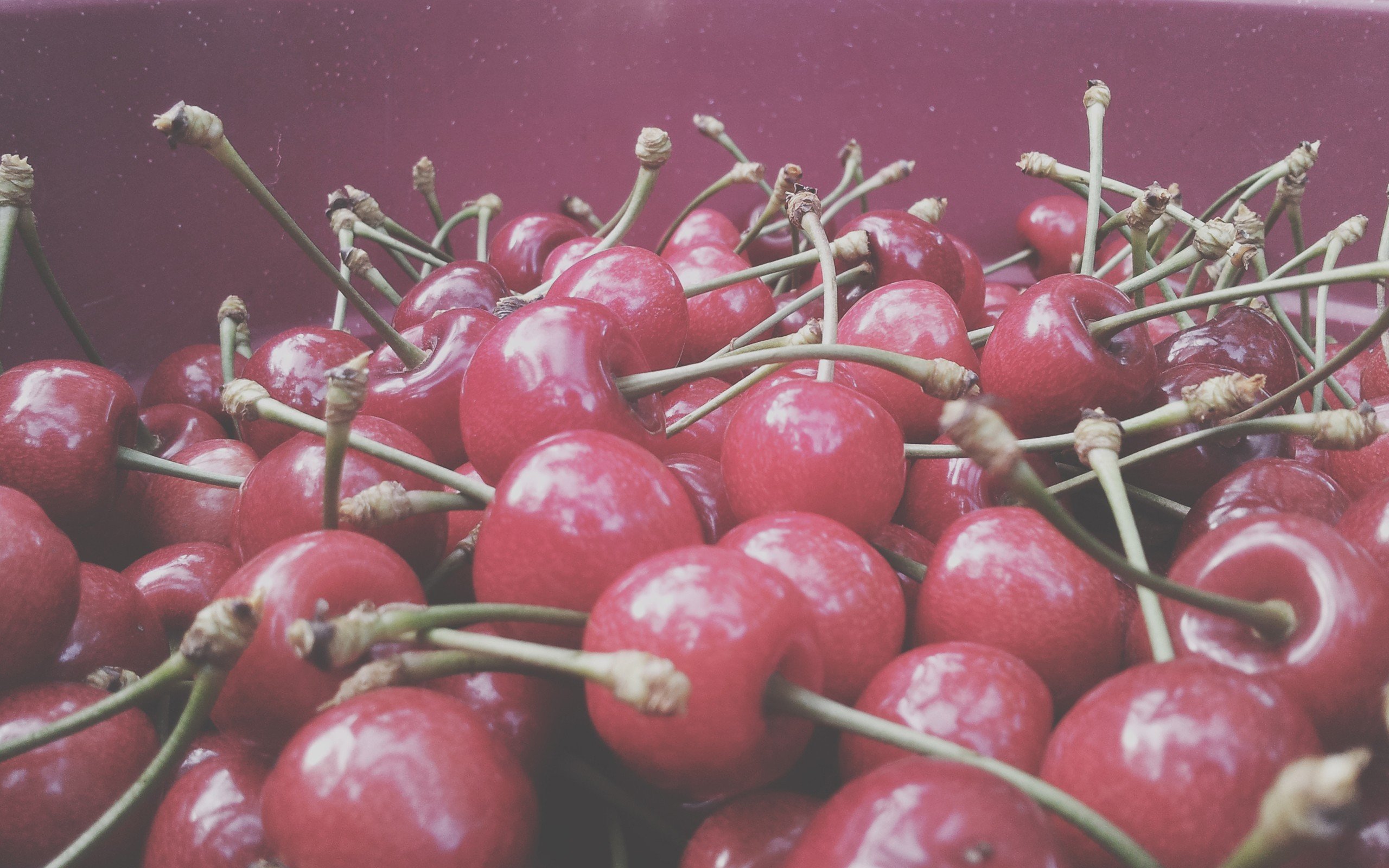 nature, Pink, Fruits, Purple, Plants, Cherries, Macro Wallpaper