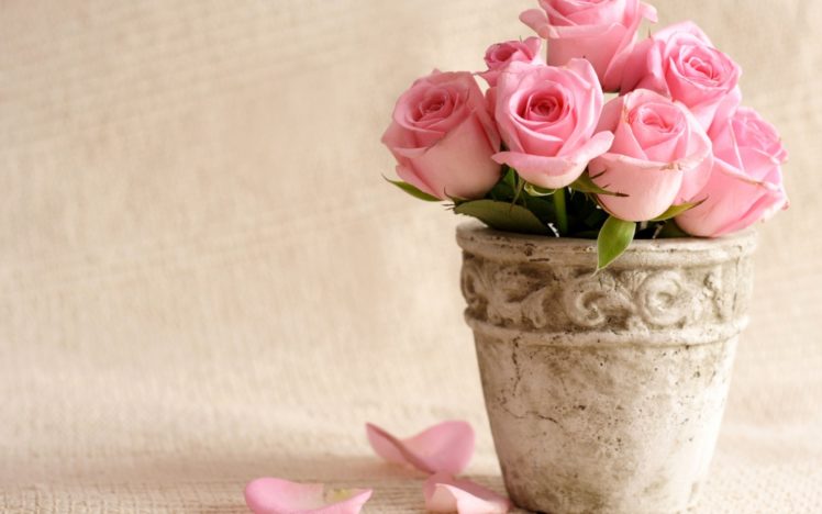 flowers, Bucket, Roses, Vase, Pink, Roses HD Wallpaper Desktop Background
