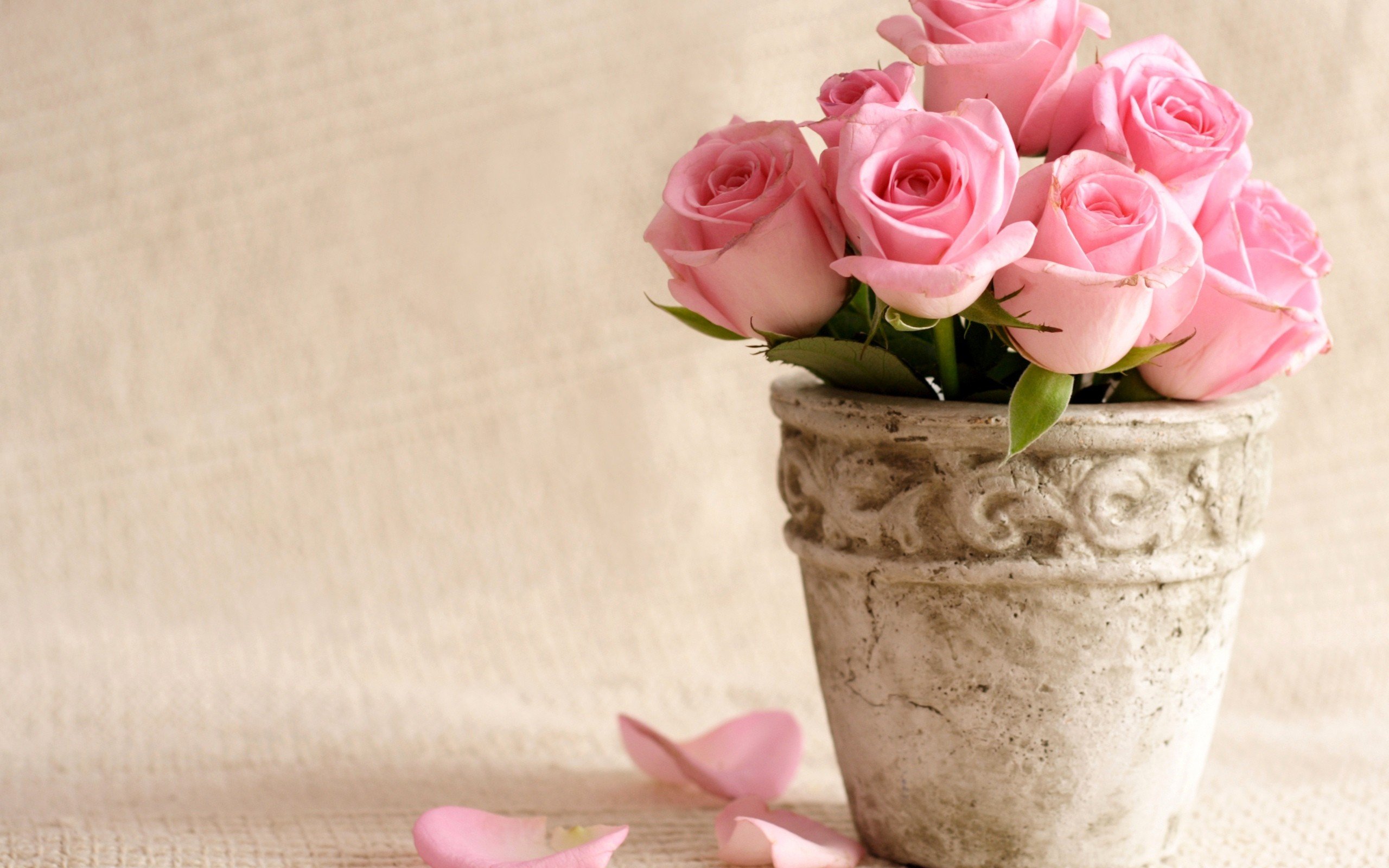 flowers, Bucket, Roses, Vase, Pink, Roses Wallpaper